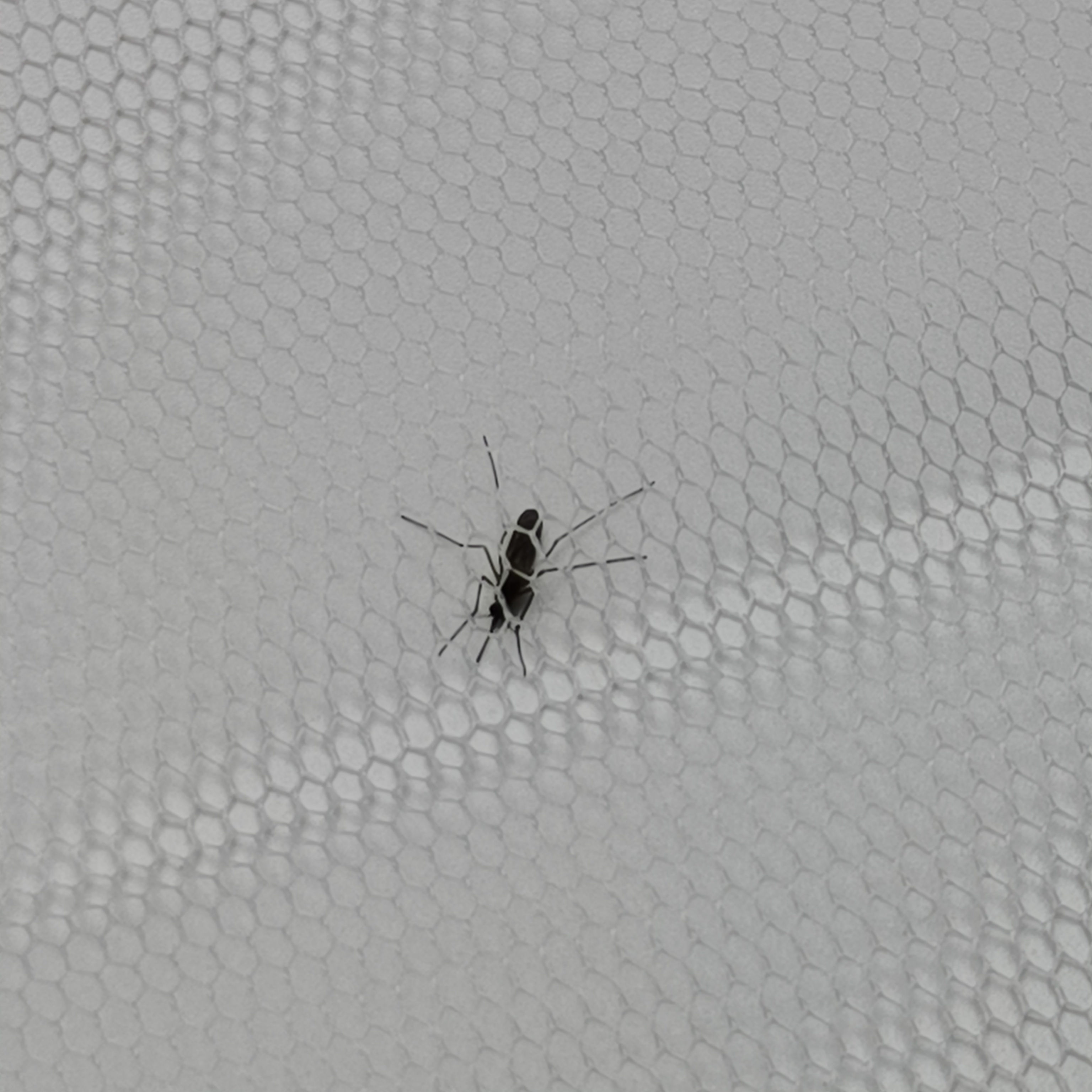 Removable_Window_Fly_Screen4.jpg